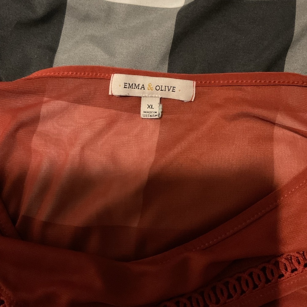 Emma & Olive Rust Mesh Yoke Flutter Sleeve Top - Picture 5 of 6